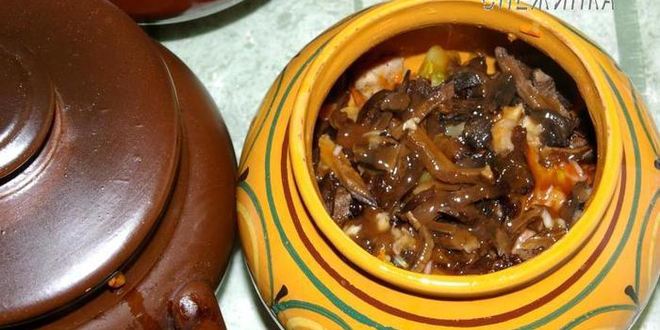 Рецепт пражаниной — мяса с овощами, черносливом и грибами в горшочках