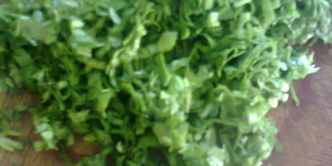 Рецепт кабачков с зеленью чабера и мяты