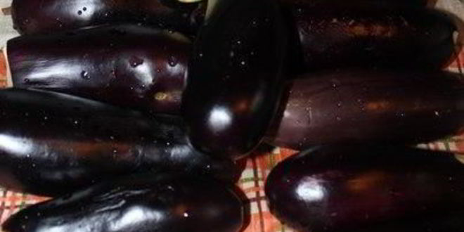 Рецепт квашеных фаршированных баклажанов