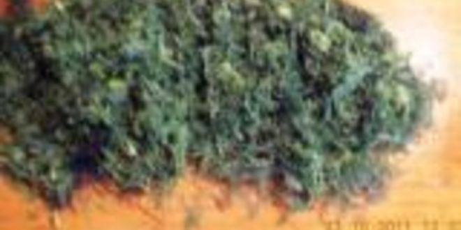 Рецепт овощей тушеных