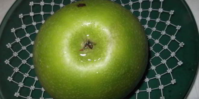 Рецепт куриной печени с яблоком