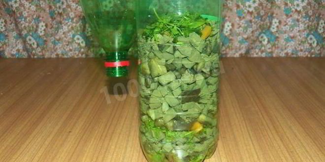 Рецепт печени заливной