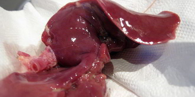 Рецепт тушеной куриной печени с яблоками