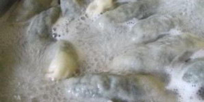 Рецепт пельменей с крапивой