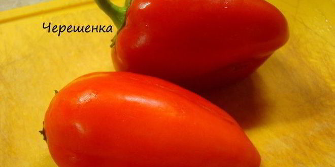 Рецепт паэльи с курицей, мидиями, гребешком и креветками