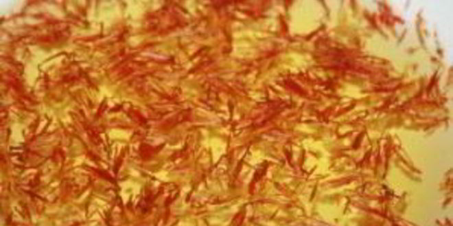 Рецепт плова с нутом и курицей