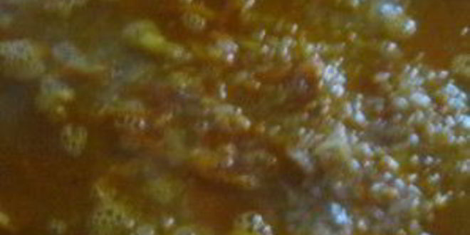 Рецепт вегетарианского плова с овощами