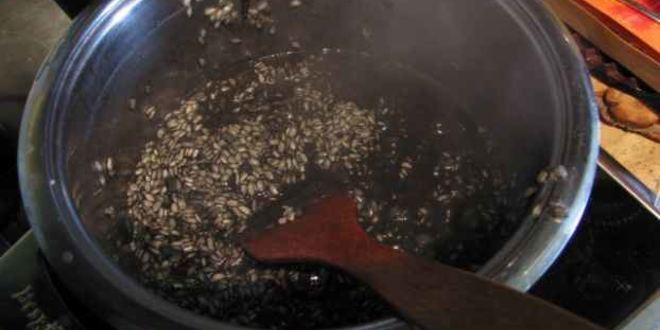 Рецепт ризотто черного с дарами моря