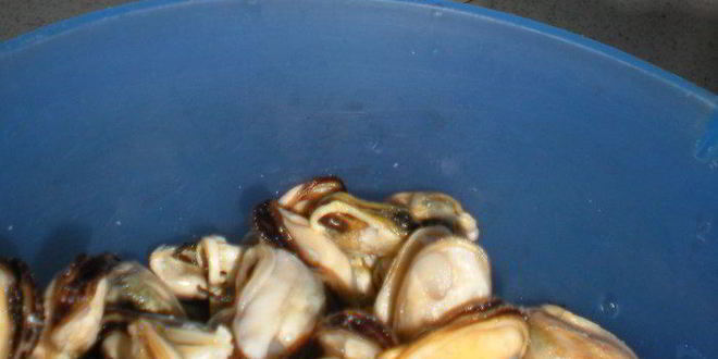 Рецепт желтого ризотто с морепродуктами