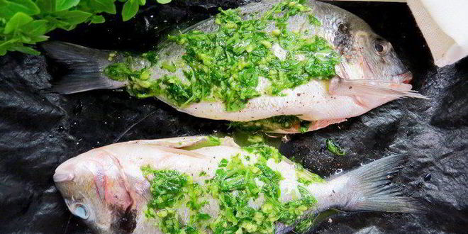 Рецепт дорады на оливковом масле с базиликом, лаймом и чесноком