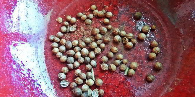 Рецепт лосося под майонезом, запеченный в рукаве