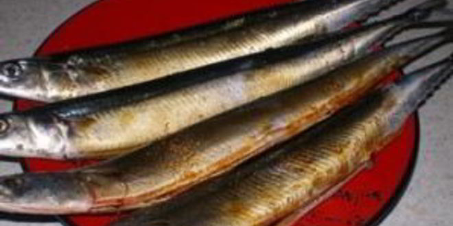 Рецепт салаки горячего копчения