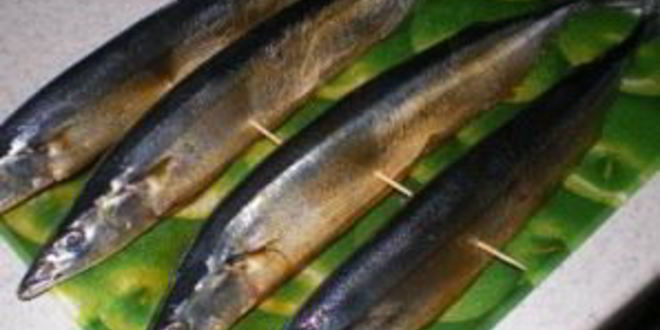 Рецепт салаки горячего копчения