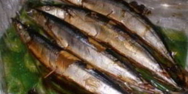 Рецепт салаки горячего копчения