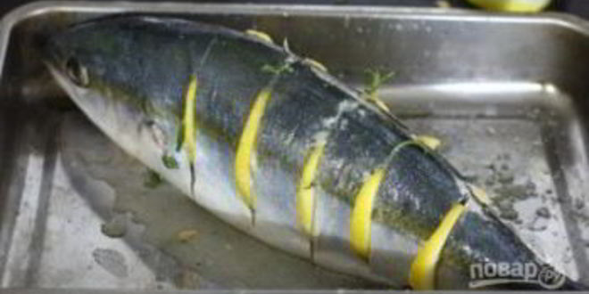 Рецепт желтохвостого тунца в духовке