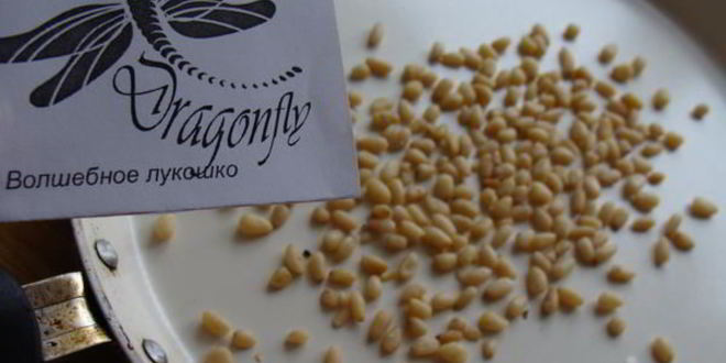 Рецепт шашлычков из курицы и брюссельской капусты