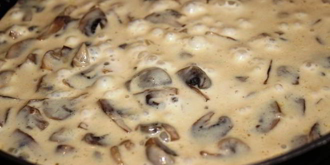 Рецепт куриного шницеля с грибным соусом