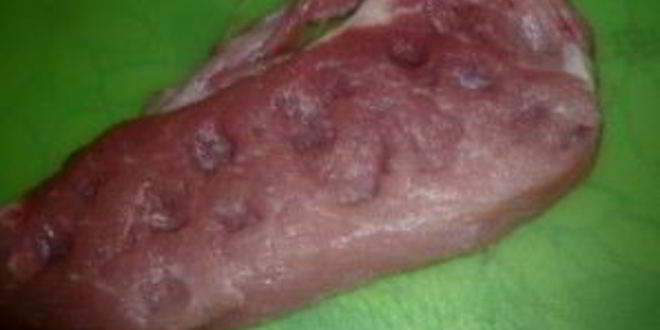 Рецепт шницеля с чесноком