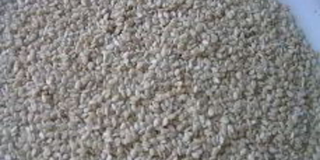 Рецепт шницеля в мятной панировке с кунжутом