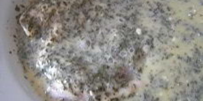 Рецепт шницеля в мятной панировке с кунжутом