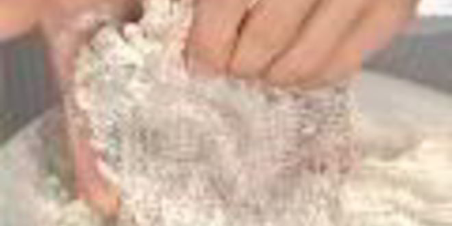 Рецепт свиного шницеля с яблочным соусом