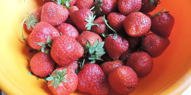 Рецепт вареников с клубникой на пару