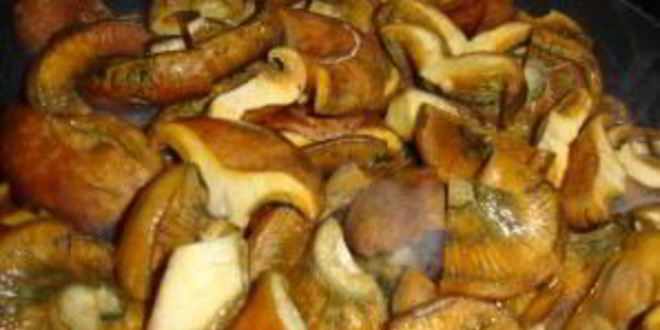 Рецепт жаркого с курицей и грибами