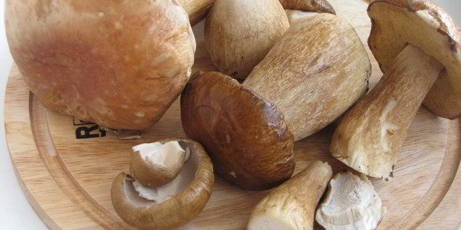 Рецепт жаркого в горшочках с белыми грибами и свининой