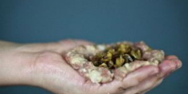 Рецепт зраз мясных с грибами