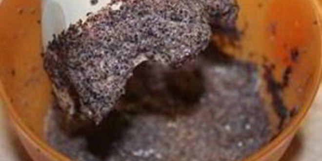 Рецепт кутьи в скороварке