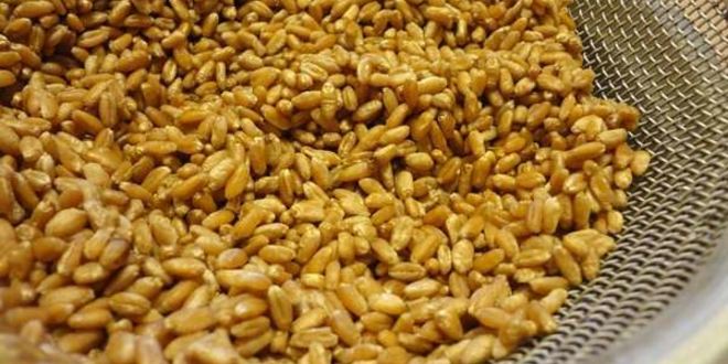 Рецепт медовой кутьи