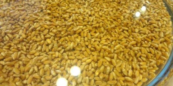 Рецепт медовой кутьи