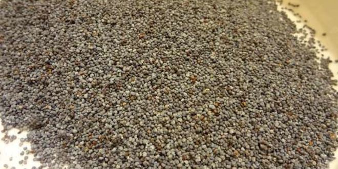 Рецепт медовой кутьи