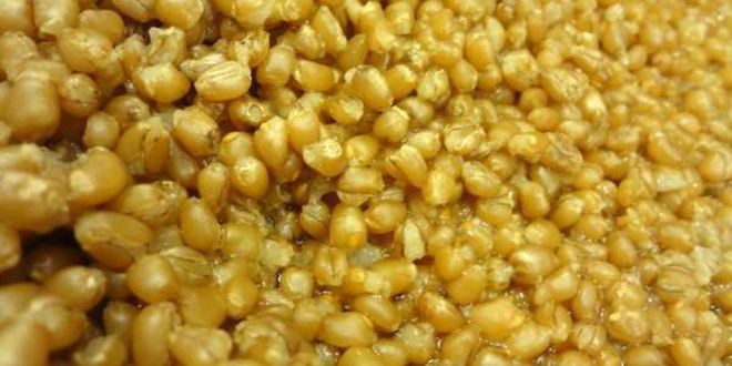 Рецепт медовой кутьи