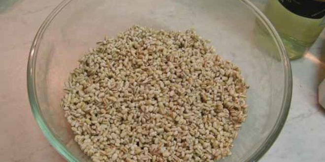 Рецепт каши перловой в итальянском стиле