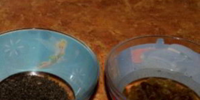 Рецепт кутьи из перловки