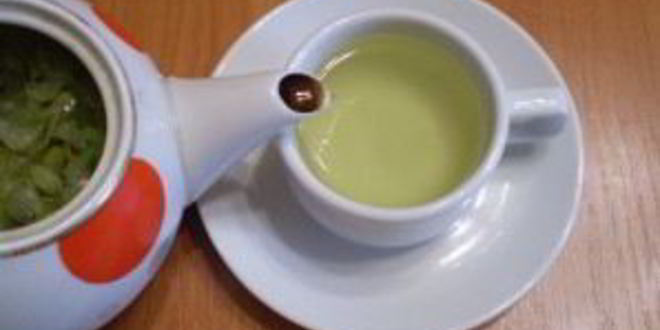 Рецепт чая из акации