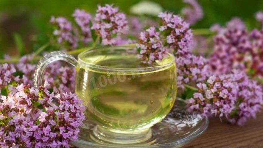 Рецепт чая орегано