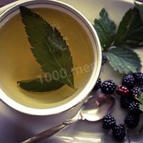 Рецепт Листьев ежевики чай