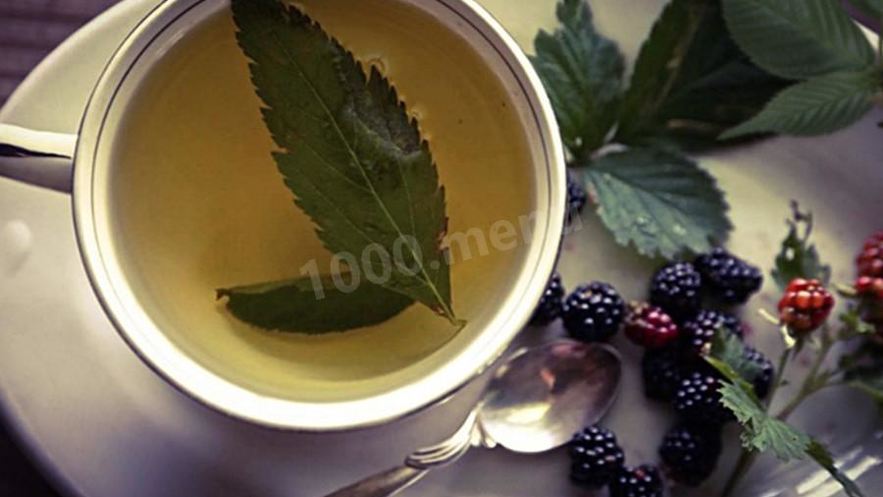 Рецепт листьев ежевики чай