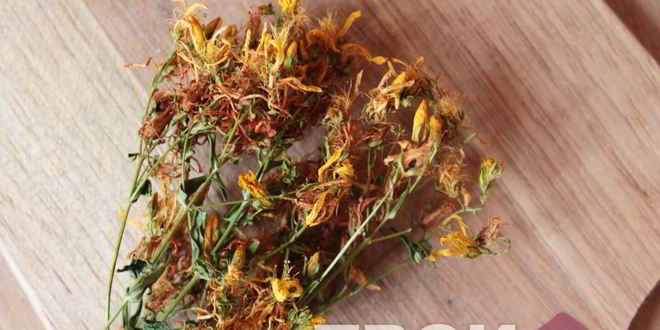 Рецепт травяного чая