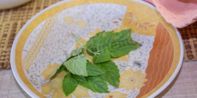 Рецепт зеленого чая с имбирем лимоном и медом