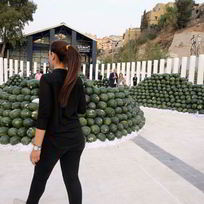 Рецепт Домашнего вина из арбуза