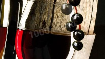 Рецепт Домашнего вина из черемухи