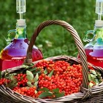 Рецепт Домашнего вина из калины