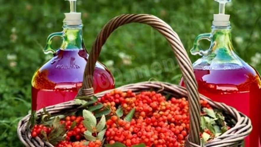Рецепт домашнего вина из калины