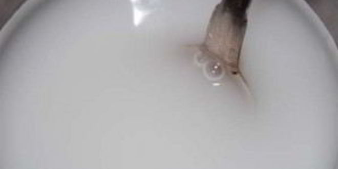 Рецепт киселя из ревеня