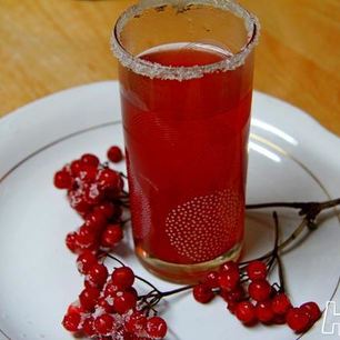 Рецепт Киселя калиново-айвовый с бадьяном