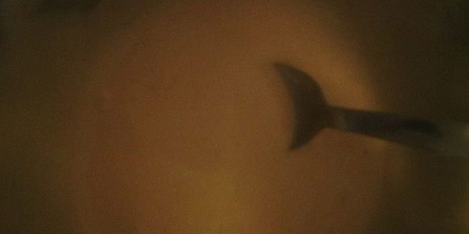 Рецепт коктейля из морепродуктов с розовым соусом