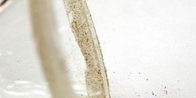 Рецепт коктейля гимлет